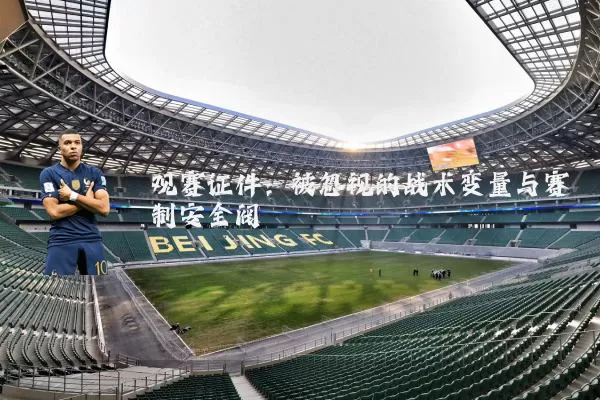观赛证件：被忽视的战术变量与赛制安全阀